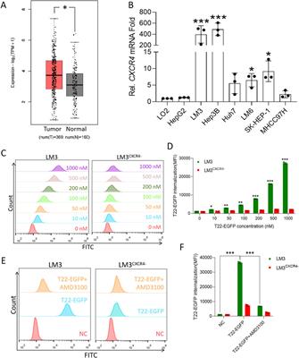 Cancer immunogenic cell death via pyroptosis with CXCR4-targeted nanotoxins in hepatocellular carcinoma